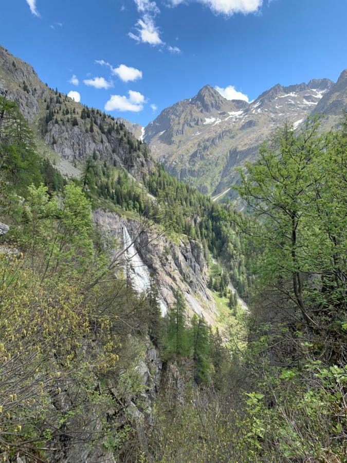 Hotel Ferrari Pinzolo Eksteriør billede