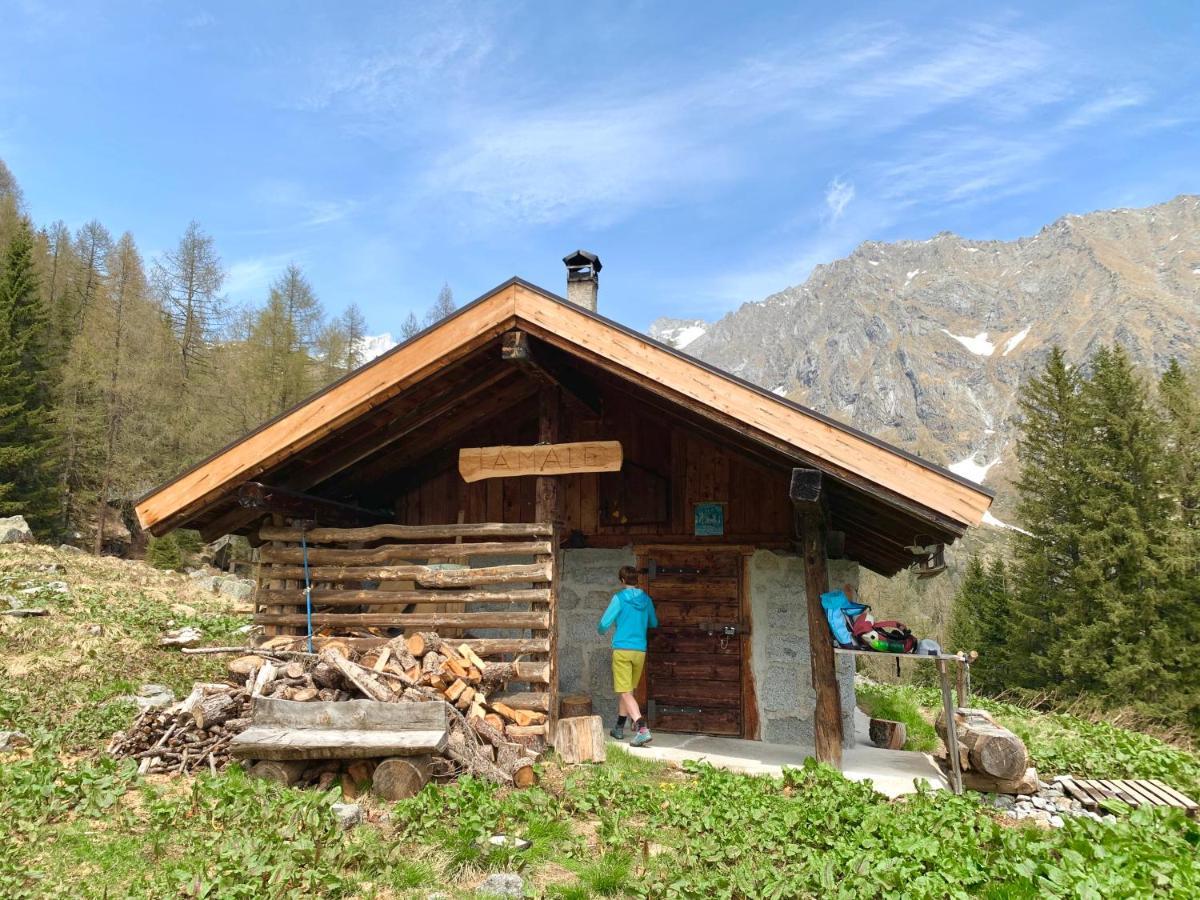 Hotel Ferrari Pinzolo Eksteriør billede